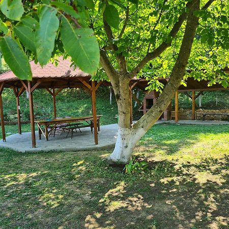 Salas U Bregu In Cheile Carasului Crasova Exteriér fotografie