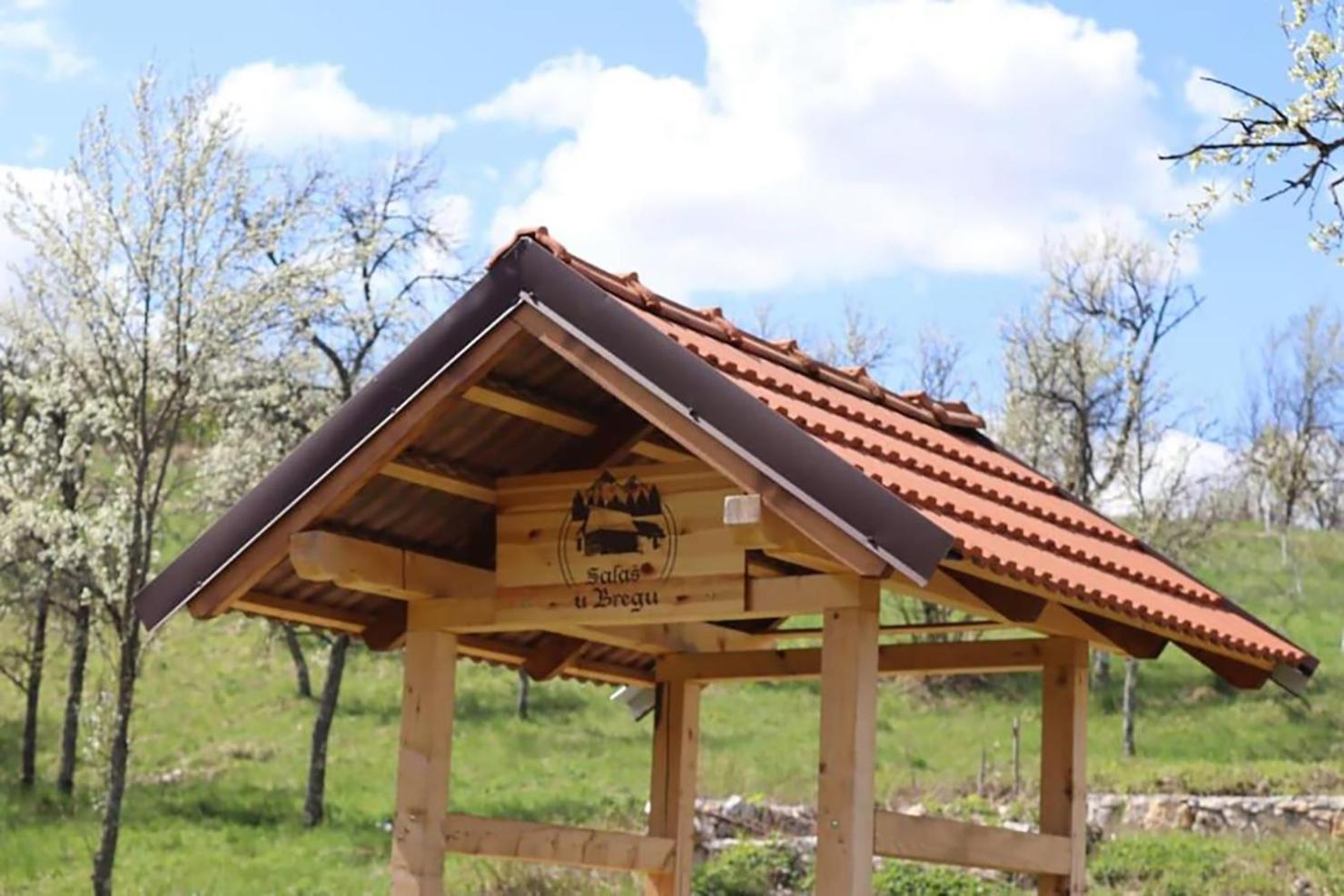 Salas U Bregu In Cheile Carasului Crasova Exteriér fotografie