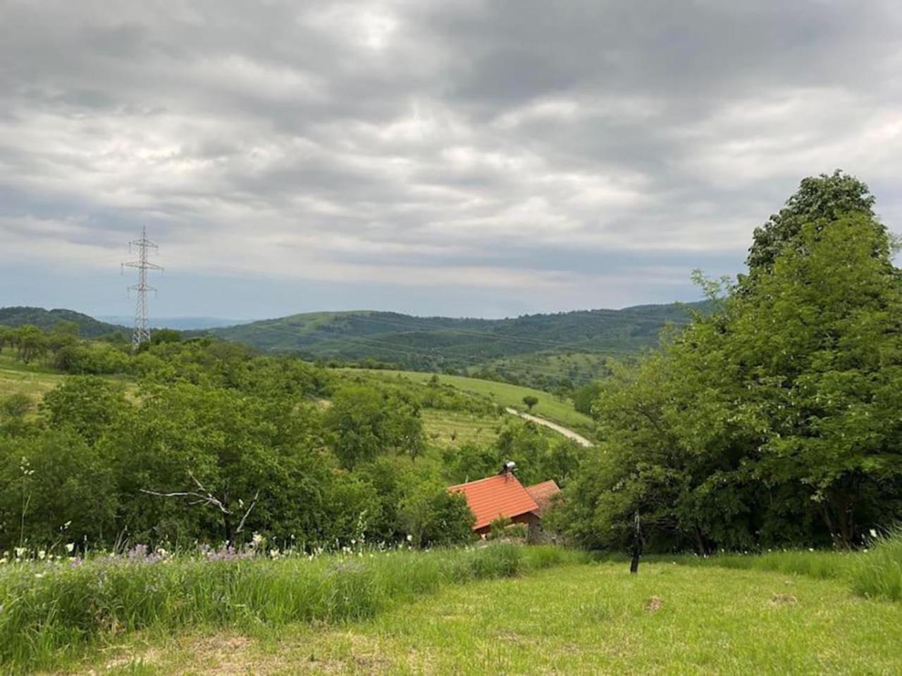 Salas U Bregu In Cheile Carasului Crasova Exteriér fotografie